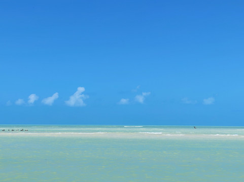 My Holbox Tours-Holbox必去景点