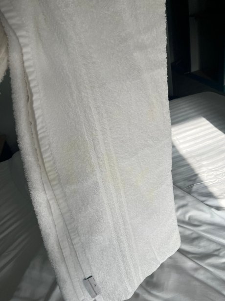 索利哈尔摄政酒店-官方