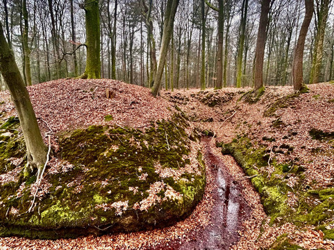 Kasteel Rosendael-Rozendaal必去景点