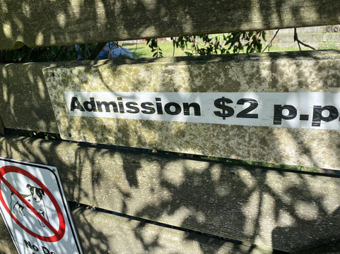 Smallest Chapel In New Zealand-Aratapu必去景点