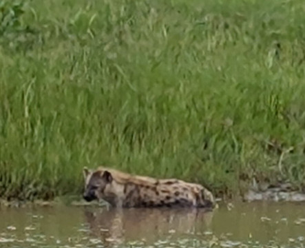 Msafiri Tanzania-莫西必去景点