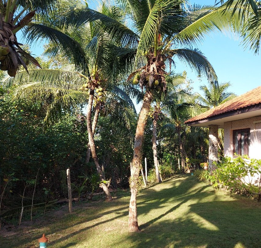 甲米金沙度假村主图