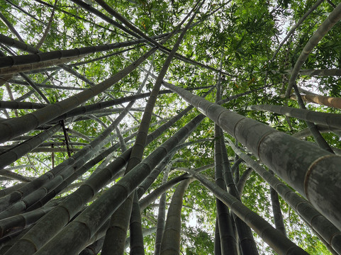 Ceylon Master Tours-Waskaduwa必去景点