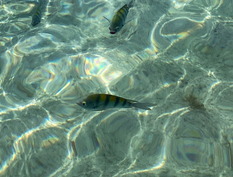 Garrafon De Castilla Beach Club-女人岛必去景点