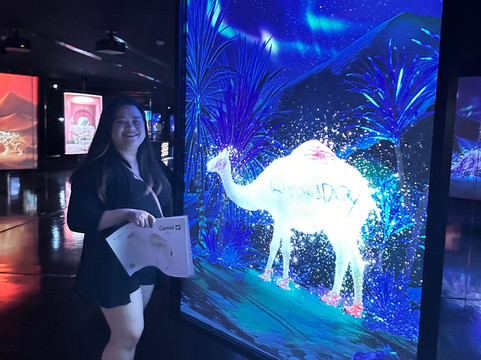 ARTE MUSEUM DUBAI-迪拜必去景点