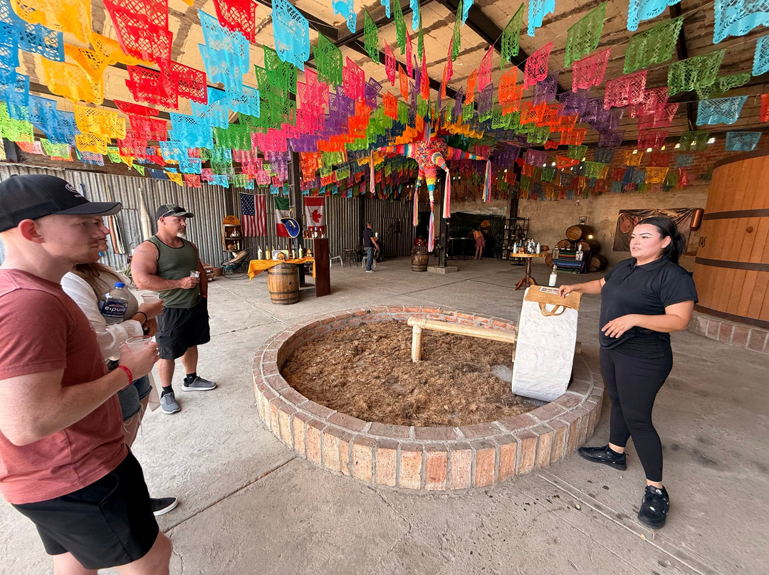 Los 2 Amigos Tequila Museum & Tasting Gallery-La Cruz de Huanacaxtle必去景点