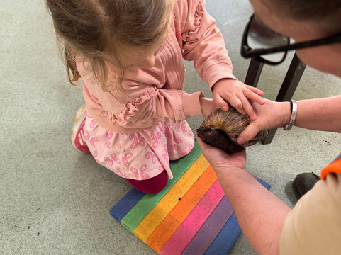 Bromley Parks Environmental Education-奥尔平顿必去景点