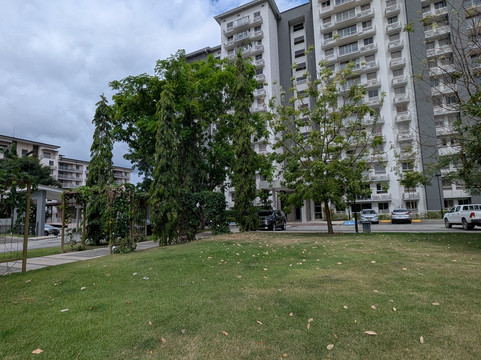 Panama Relocation Tours-波魁特必去景点