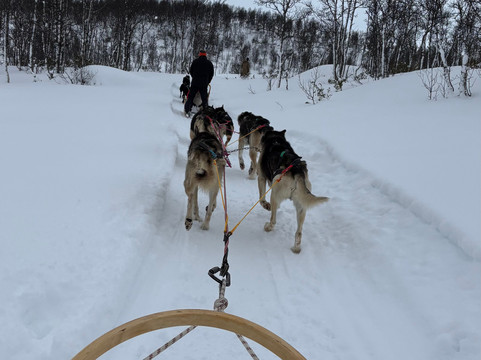 Haukeli Husky-Rauland必去景点