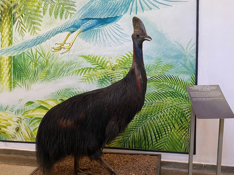 Cerrado Memorial-戈亚尼亚必去景点