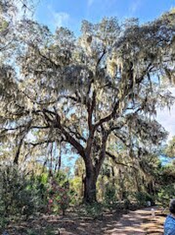 Coastal Discovery Museum-希尔顿头岛必去景点
