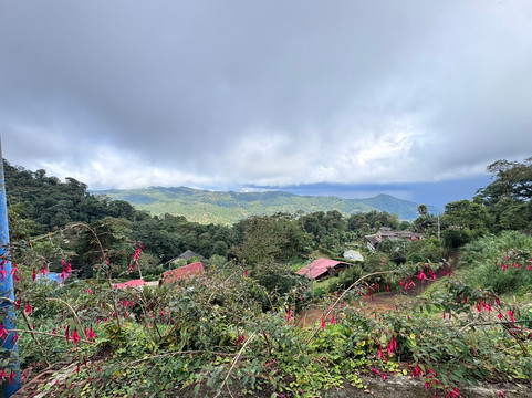 Jaguarundi Travel-波哥大必去景点