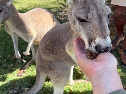 Sea It Clear Tours-North Sound必去景点