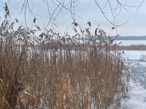 巴德萨罗施罗斯公园酒店主图