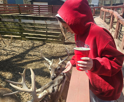 Hochatown Petting Zoo-Broken Bow必去景点