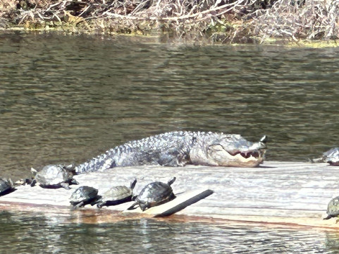 Horton Pond-吉柯岛必去景点