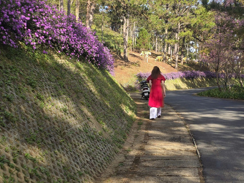 大叻情人谷-大勒必去景点
