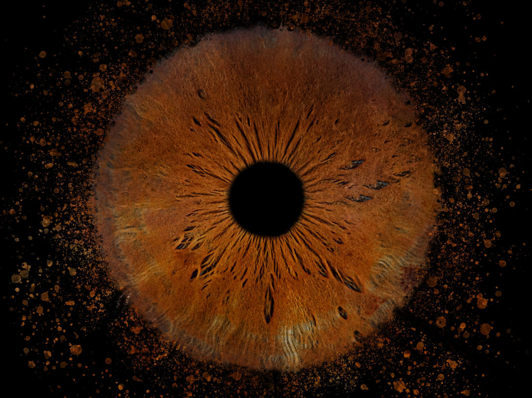 Iris Galerie Maastricht-马斯特里赫特必去景点