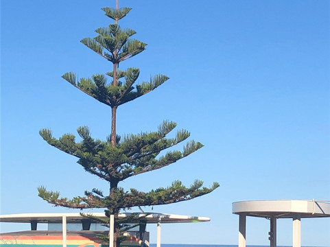 诺朗加港麦克克劳德旅馆主图