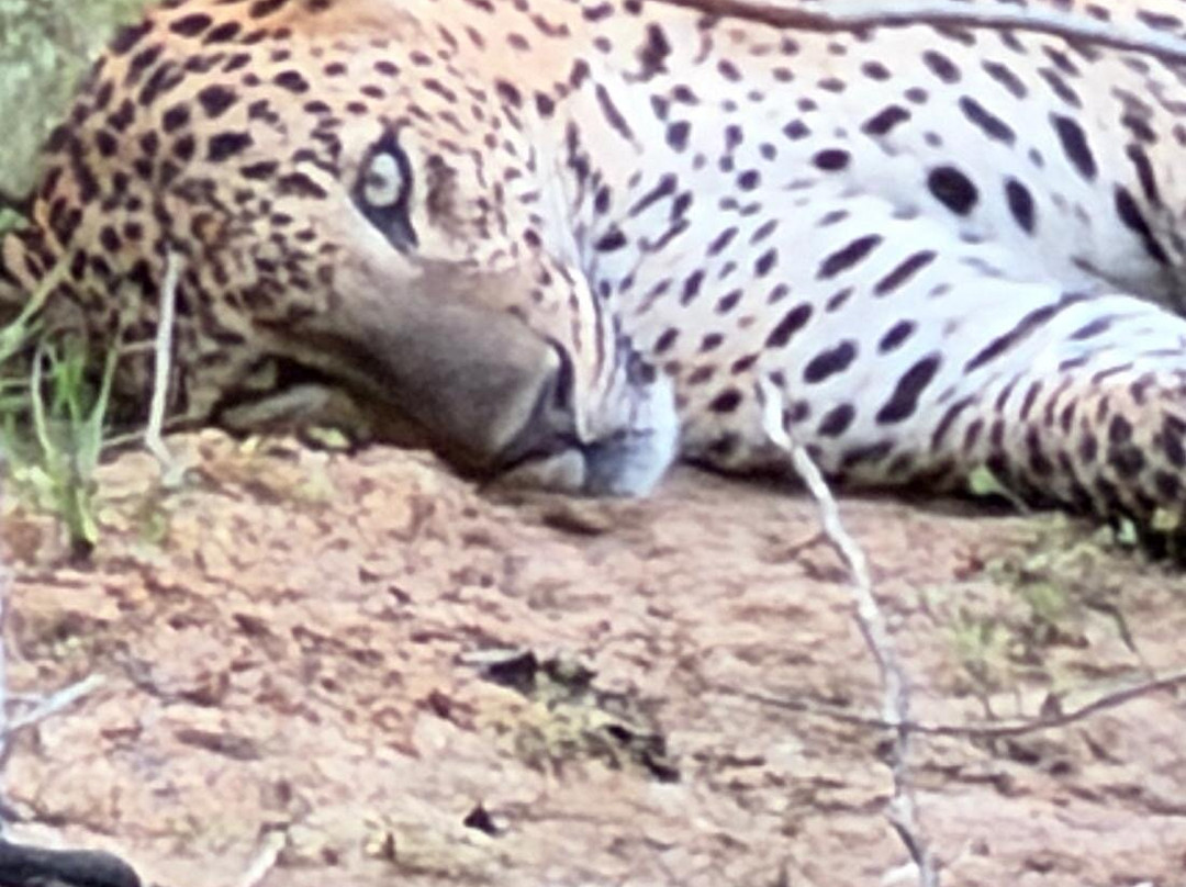 Journey To Lankatours-科伦坡必去景点