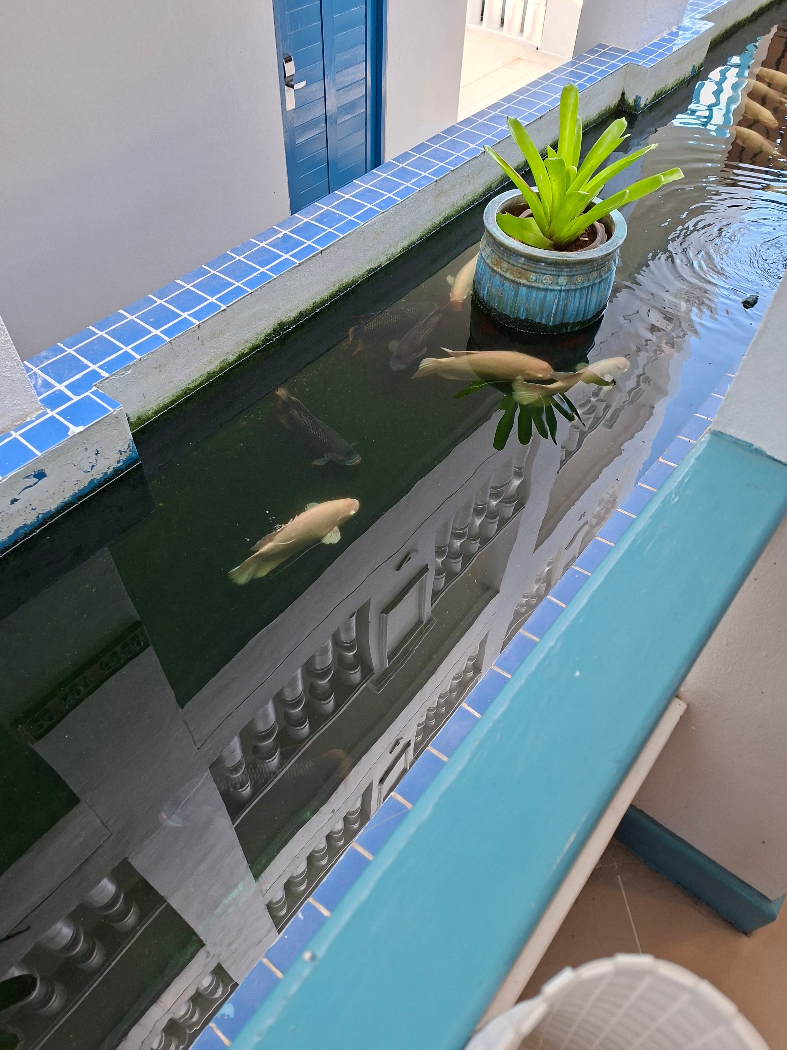 卡伦海滩安达曼海景酒店--浴室