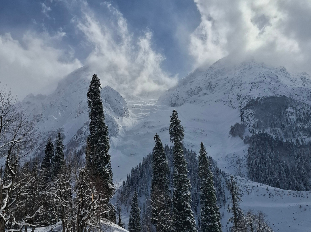 Sunway Kashmir Tour & Travels-斯利那加必去景点