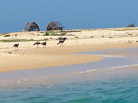 Off 2 Sri Lanka Private Tours-Piliyandala必去景点