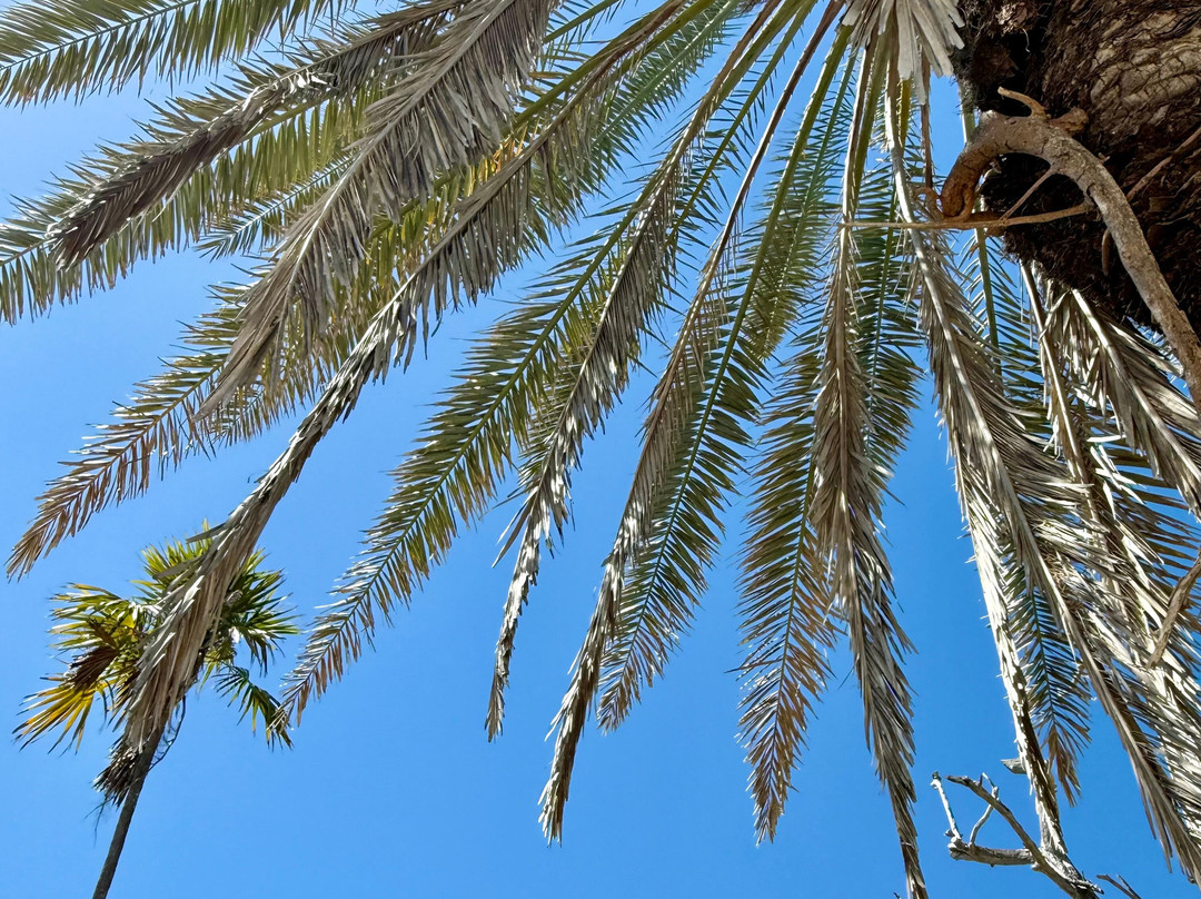 Pigeon Key-马拉松必去景点