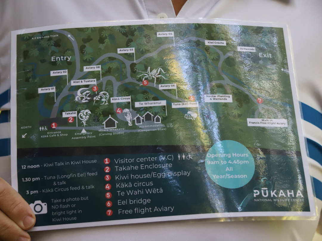 Pūkaha National Wildlife Centre-马斯特顿必去景点