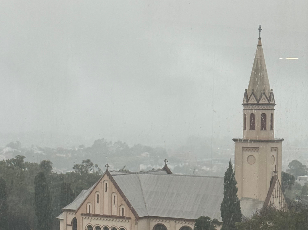 新汉堡天鹅酒店主图