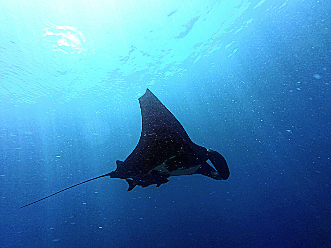 Costa Rica Adventure Divers-德雷克湾必去景点