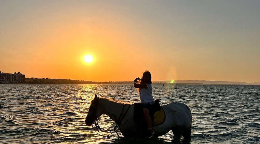 Horse hurghada-赫尔格达必去景点