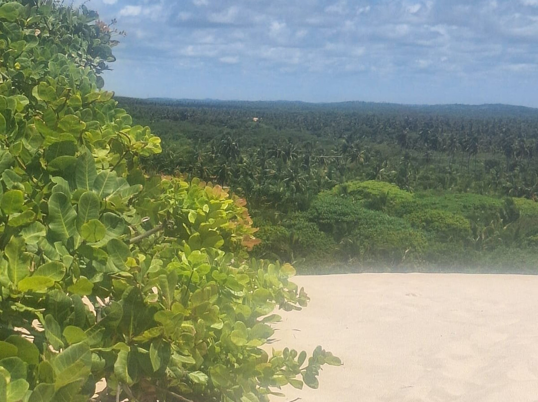 Praia do Saco-Estancia必去景点