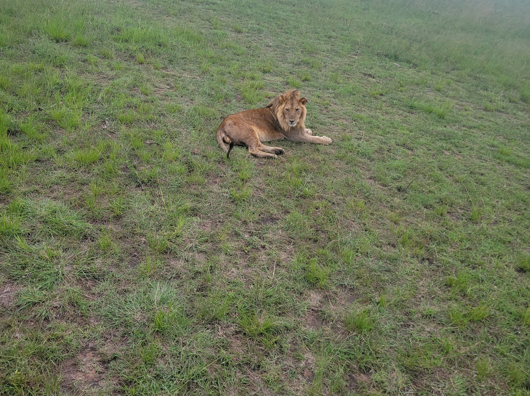 The Olmalaika Trust-Sekenani必去景点