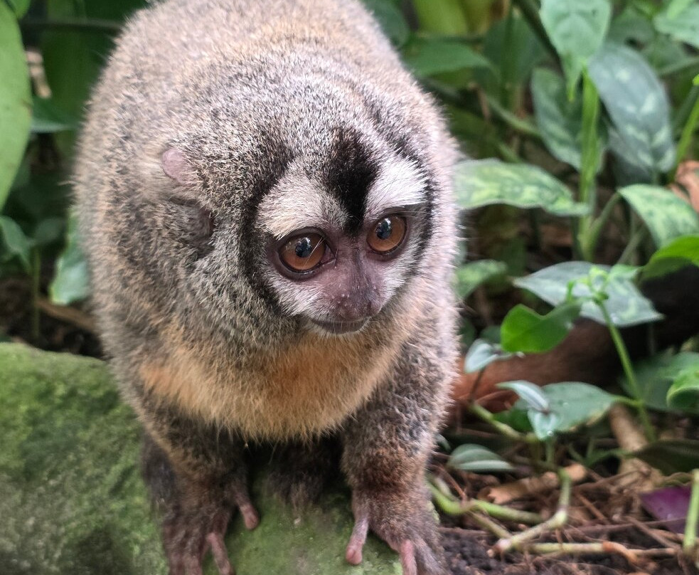 Randers Regnskov-兰讷斯必去景点