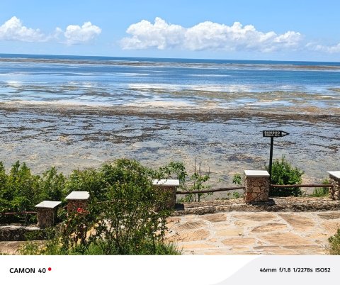 红鹤海滩水疗度假村-泳池