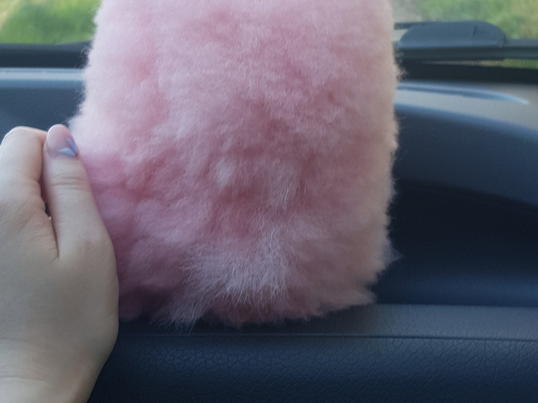 la Contea della Terra di Mezzo-Carpineti必去景点