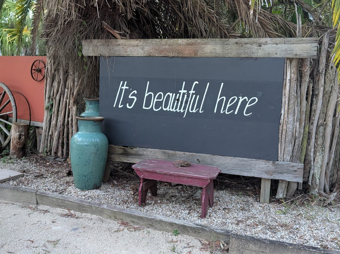 Treehouse Retreat at Diamond Waters主图