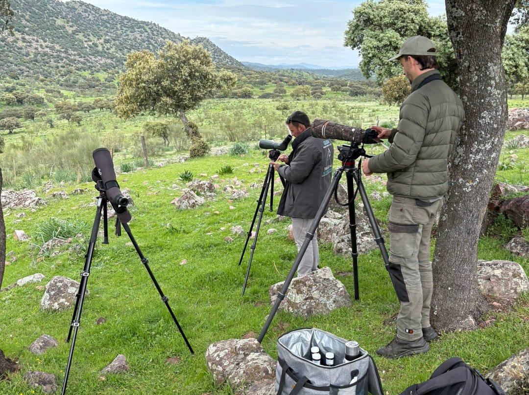 Birds&Lynx Ecotourism-La Carolina必去景点