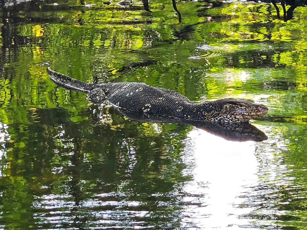 Lucky Boat Safari-班托塔必去景点