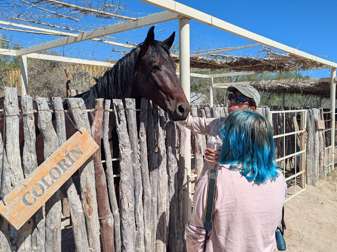 Rancho Cacachilas-El Sargento必去景点