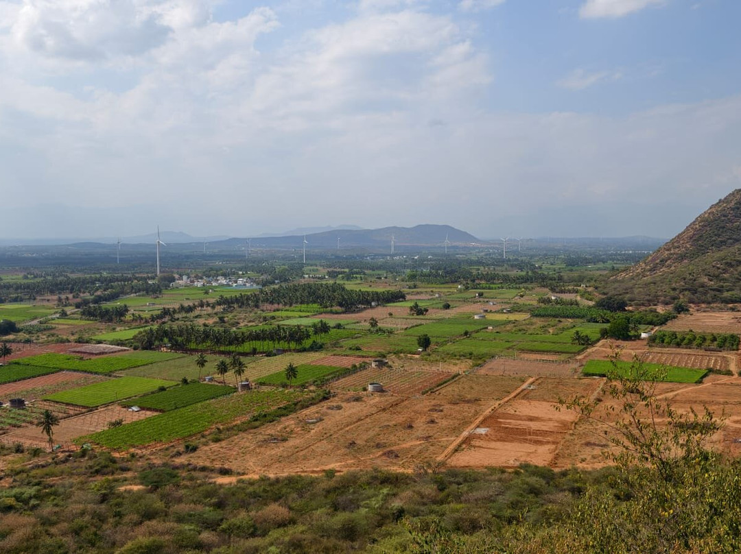 Meghamalai - High Wavy Mountains-Theni必去景点
