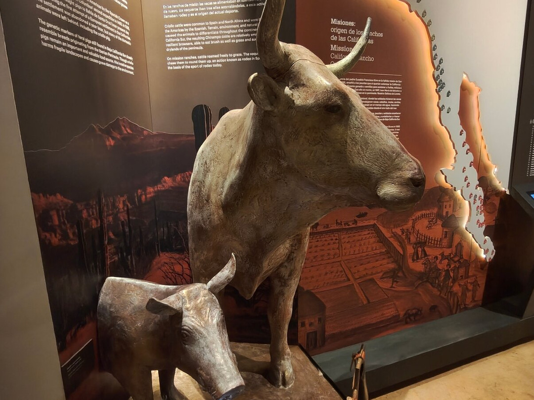 Museo Del Vaquero De Las Californias-El Triunfo必去景点