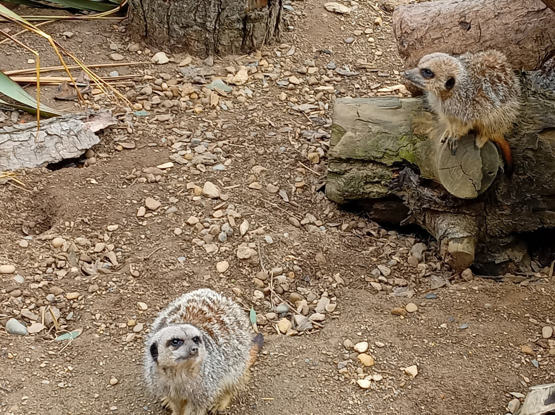 Filey Zoo-Filey必去景点
