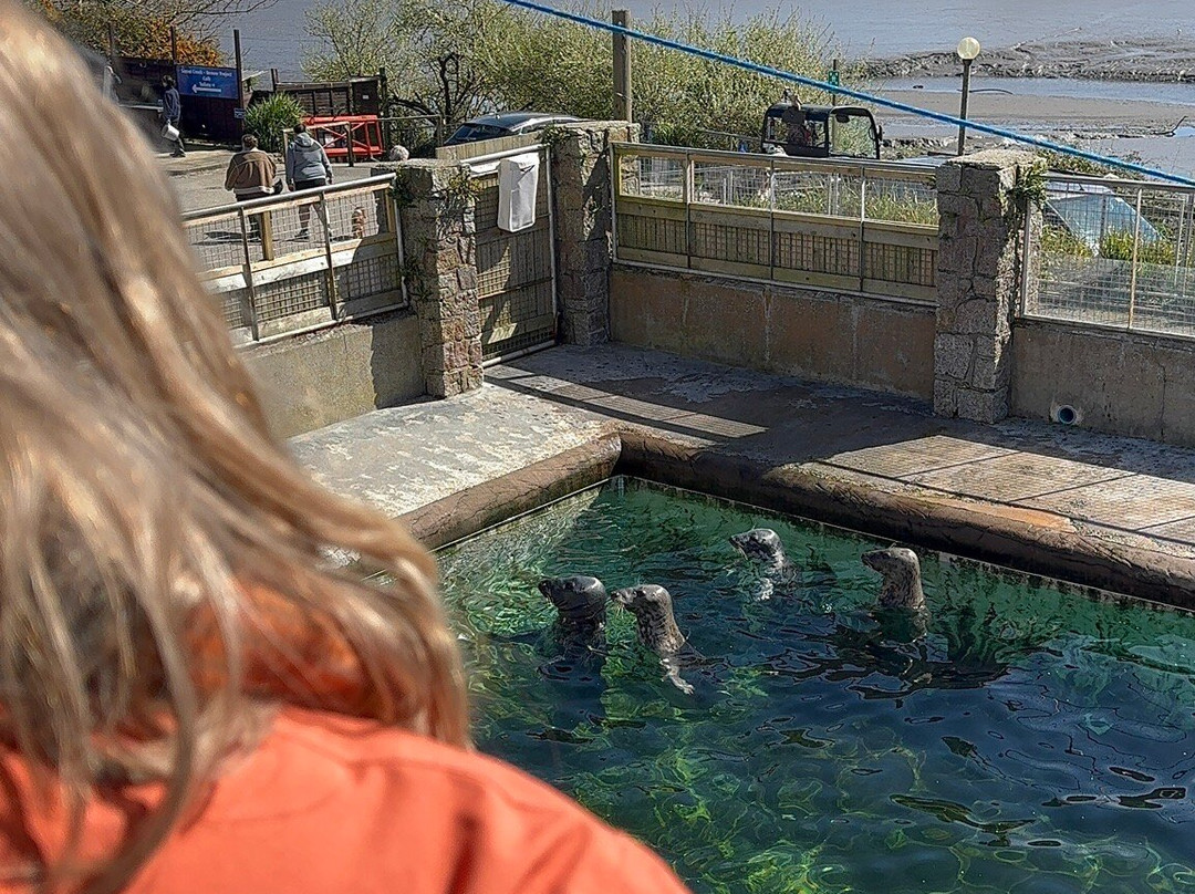 Cornish Seal Sanctuary-Gweek必去景点