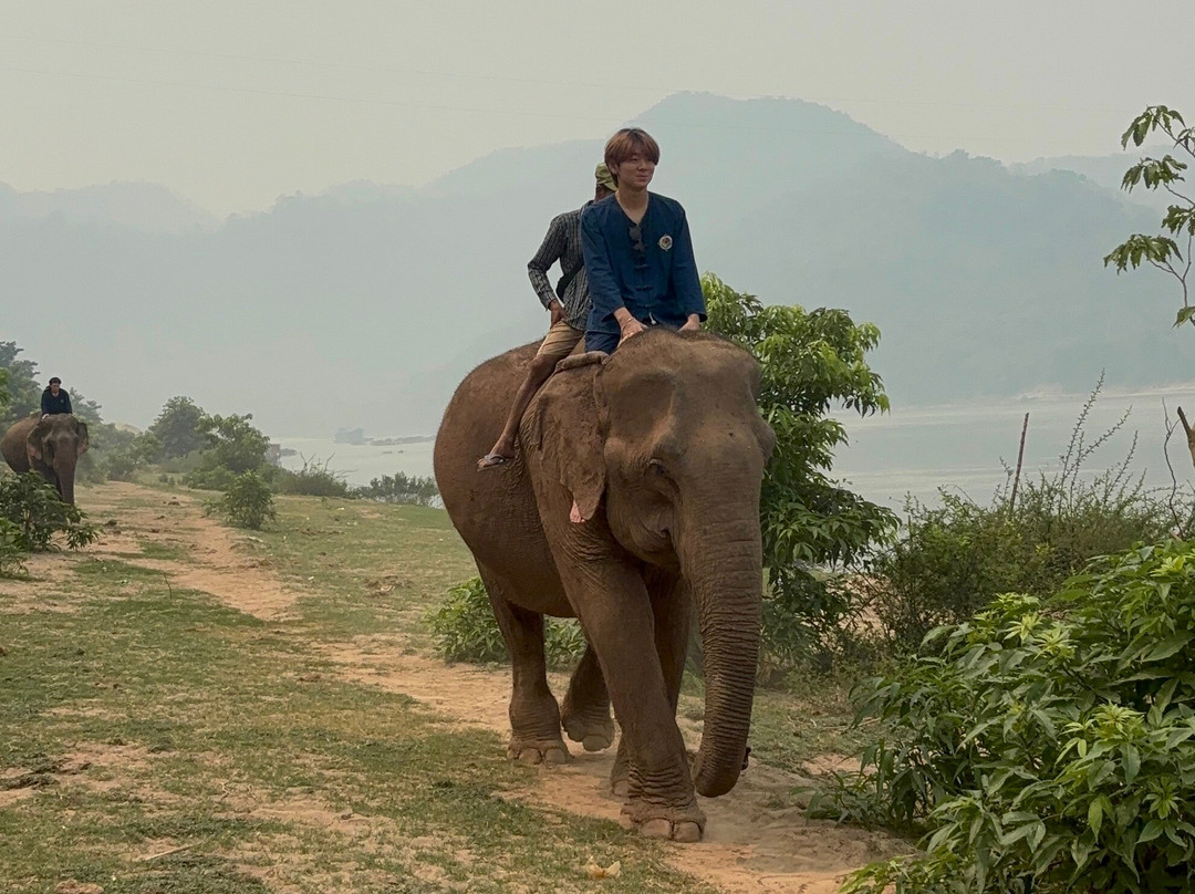 Manifa Elephant Camp-Sang Ha必去景点