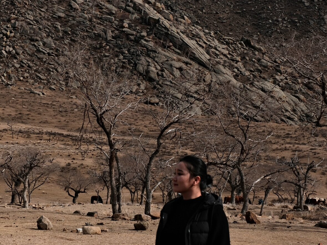 Sunpath Mongolia-乌兰巴托必去景点