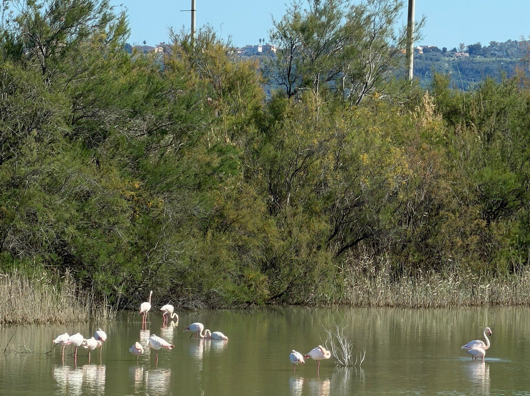 Sicily Private Tours by Luca-墨西拿必去景点