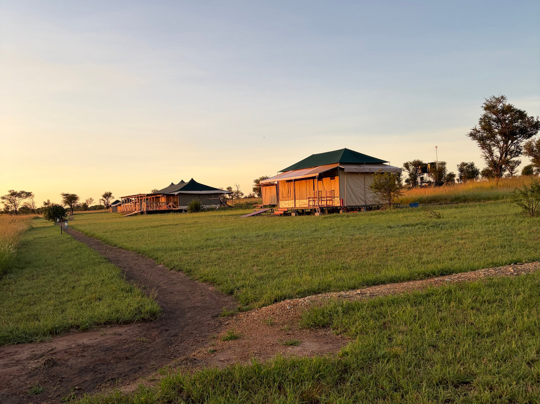 OSOTUA TENTED CAMPS-Ikoma必去景点