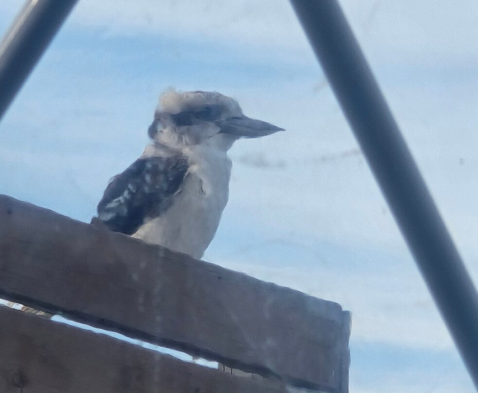 Domescapes in the Vines主图